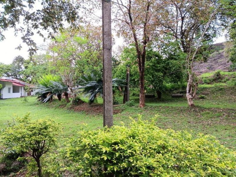 Aligama Cottage Talakolawela Luaran gambar